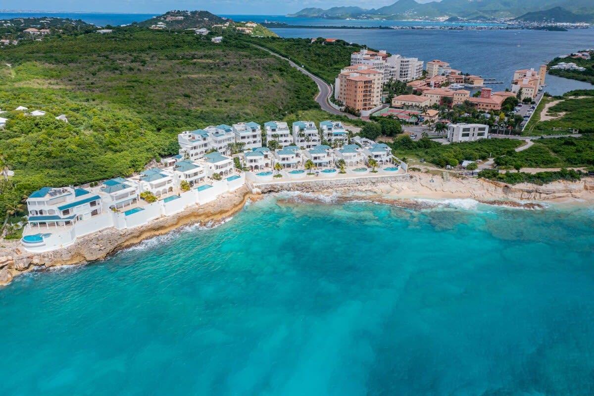 Photo of Photo of Blue Dove