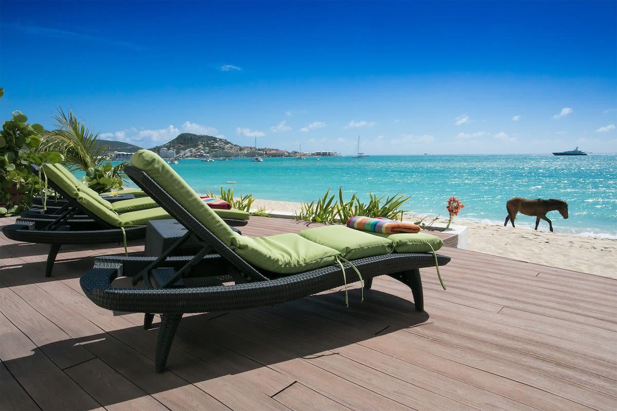 Photo of Photo of Vittoria