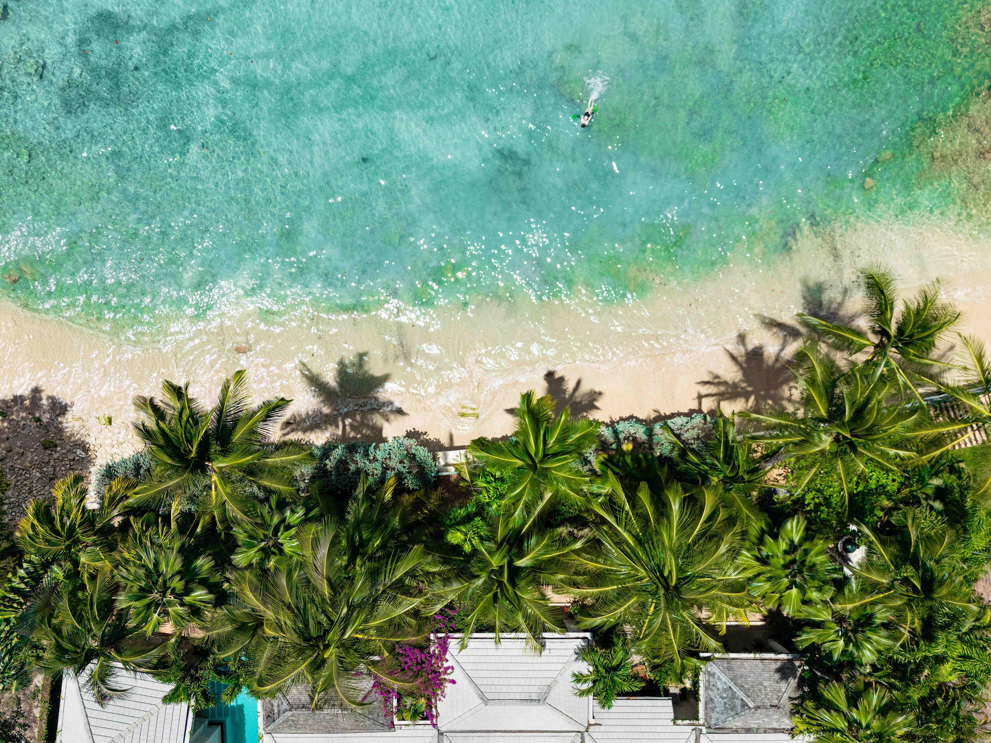 Photo of Photo of Wimoweh